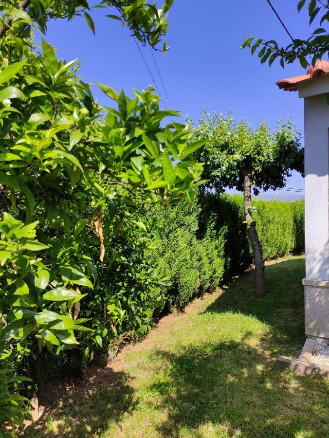 Casas do Paço - Casas de Férias Cabeceiras de Basto Exterior foto